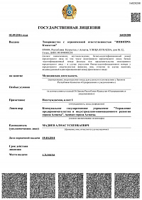 Мемлекеттік лицензия